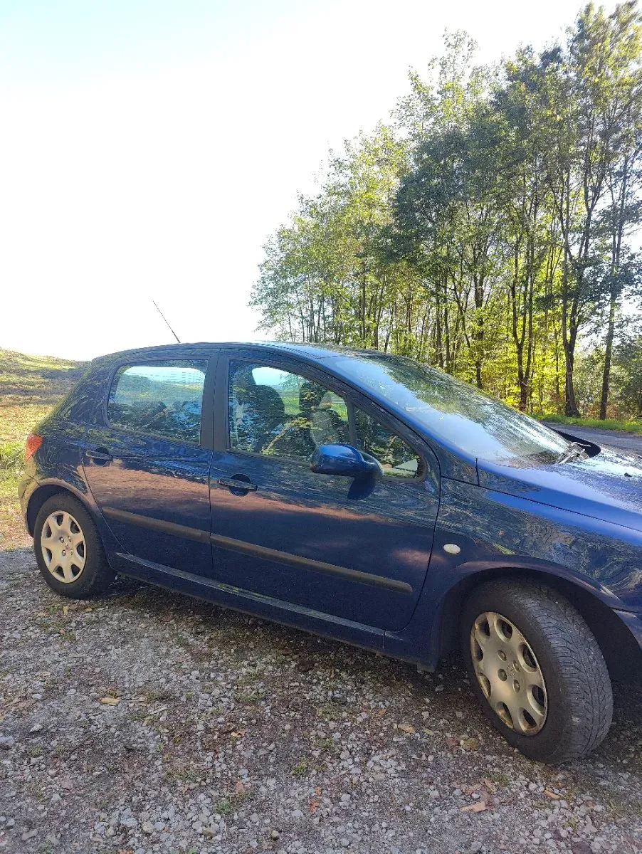 Peugeot 307 2001 photo 3