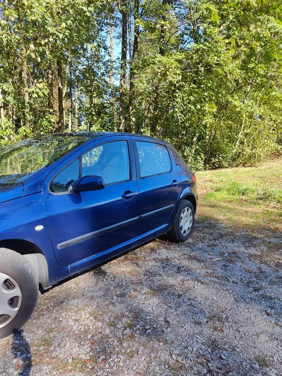 Peugeot 307 2001 photo 2