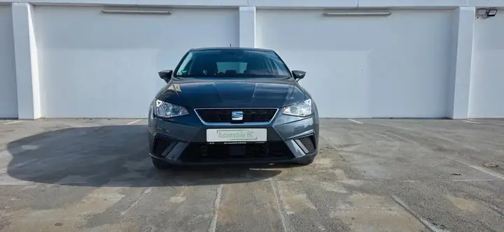 Seat Ibiza Style