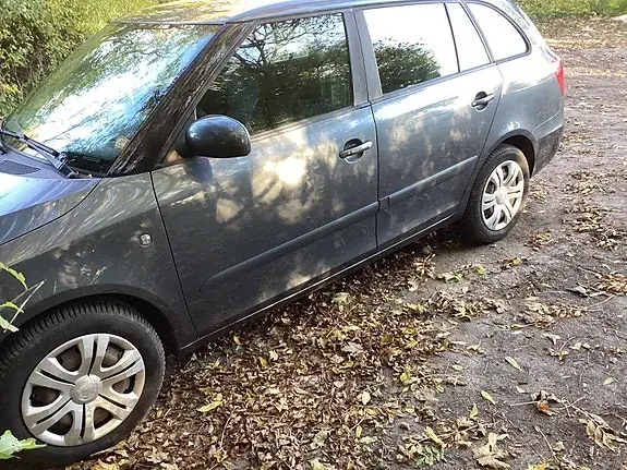 Skoda Fabia 2010 photo 2
