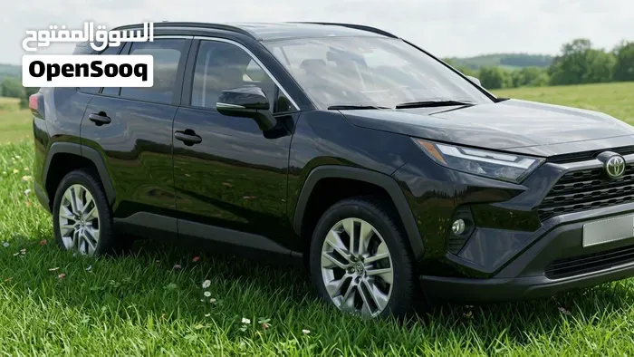 Toyota Rav4 2020 photo 2