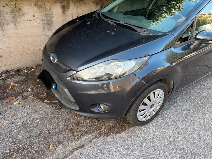 Ford Fiesta 2010 photo 5
