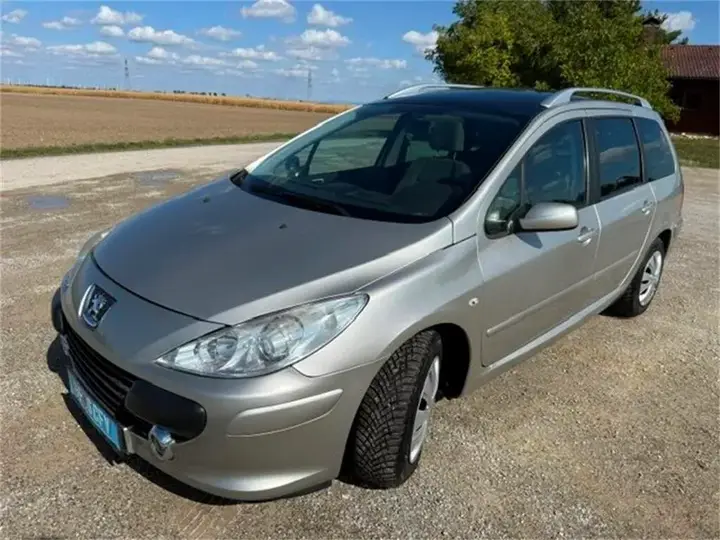 Peugeot 307 Sw 2007 photo 2