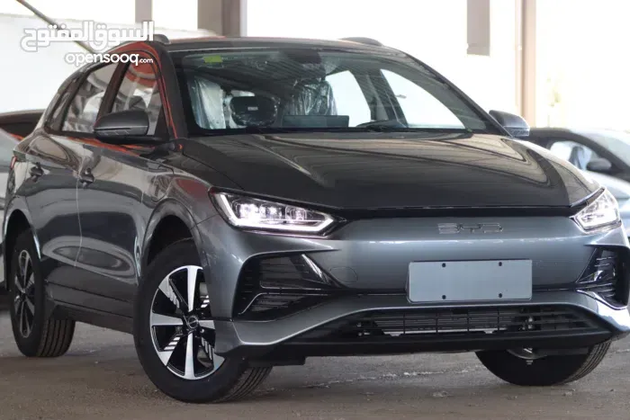 BYD E2