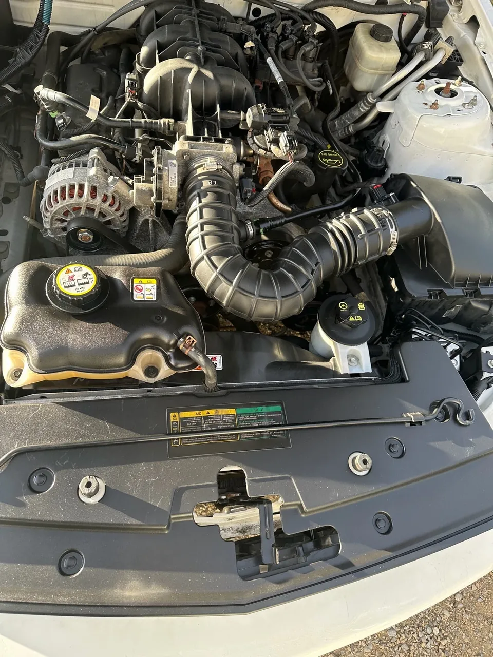 Ford Mustang 2007 photo 5