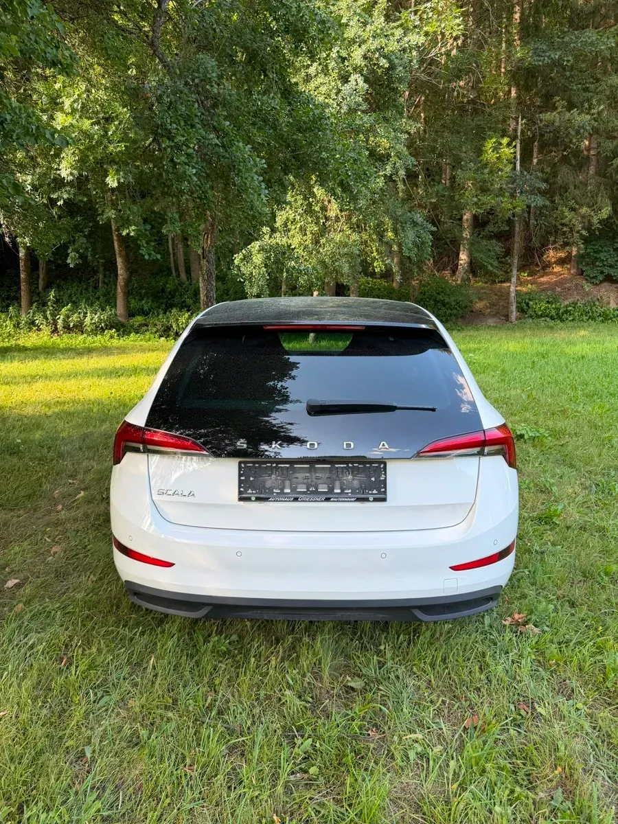 Skoda Scala 2020 photo 3