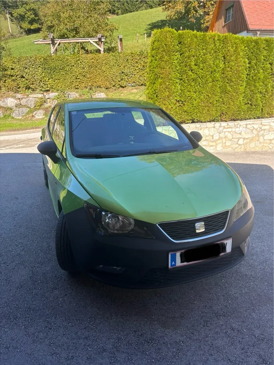Seat Ibiza 2012 photo 2