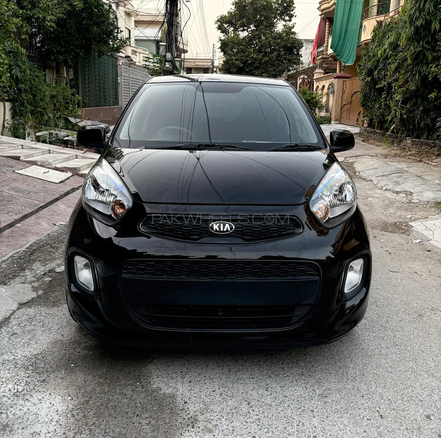 Kia Picanto