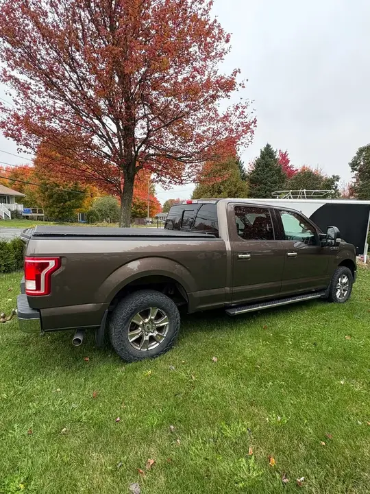 Ford F-150 2015 photo 2