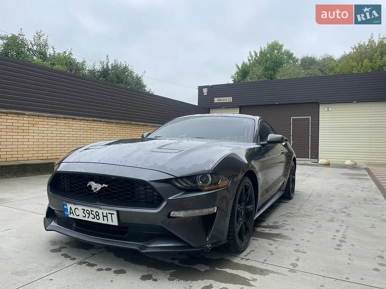 Ford Mustang 2019 photo 3