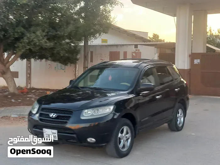 Hyundai Santa Fe 2008 photo 2