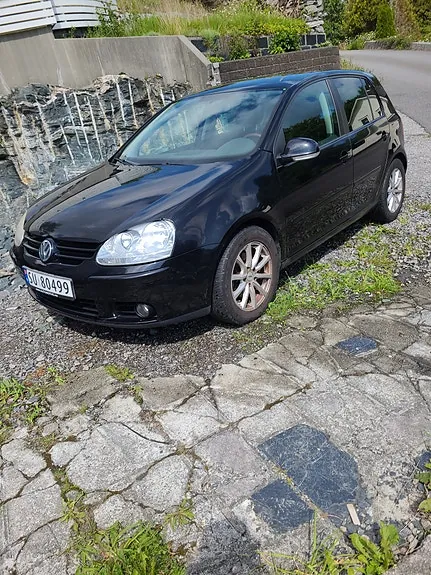 Volkswagen Golf V 2005 photo 2