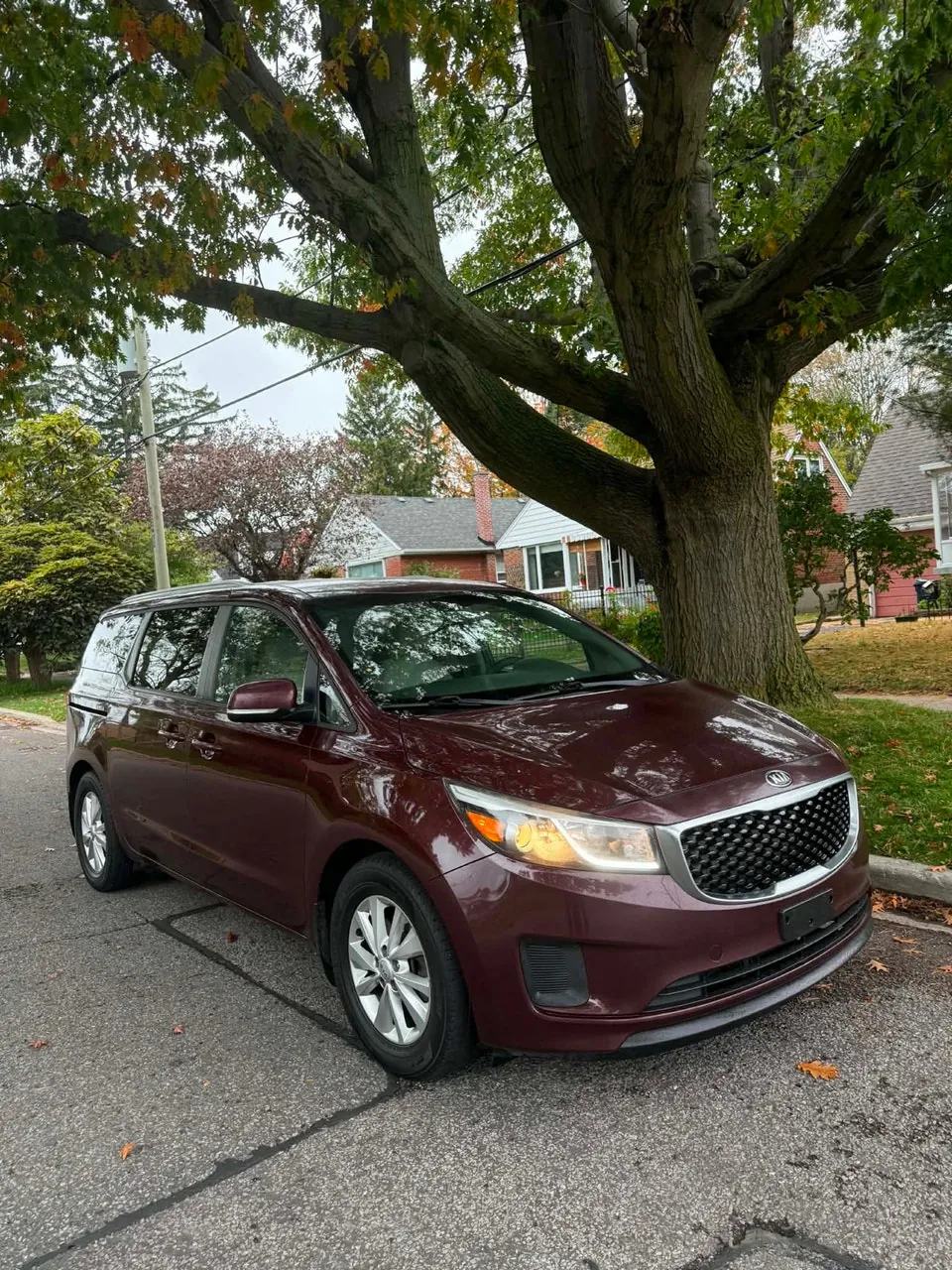Kia Sedona 2010 photo 2
