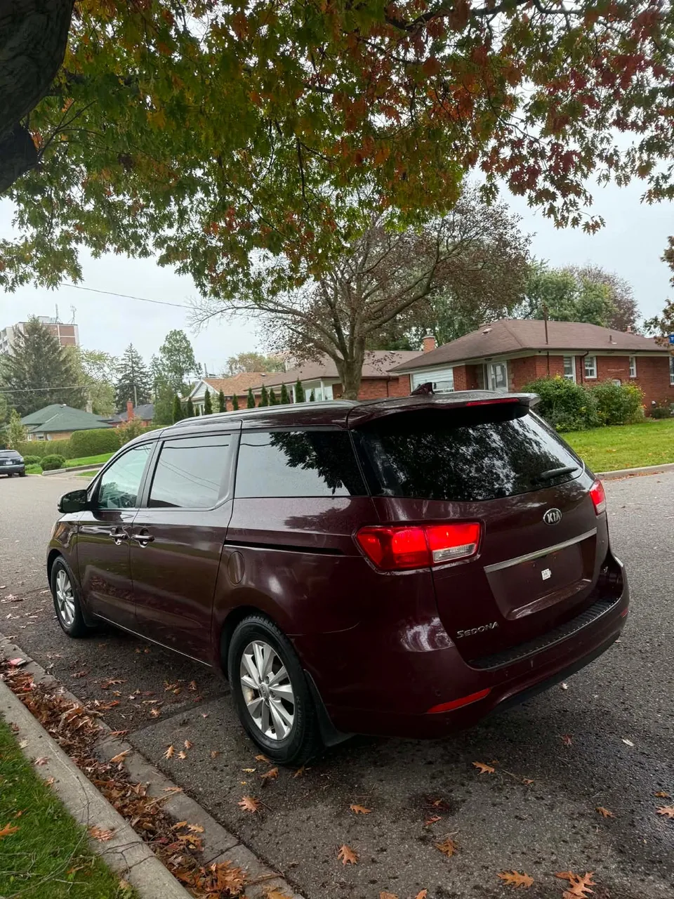 Kia Sedona 2010 photo 3