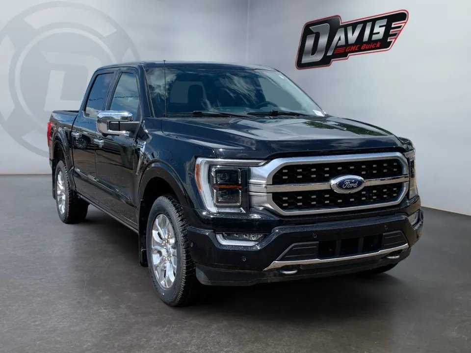 Ford F-150 2022 photo 3
