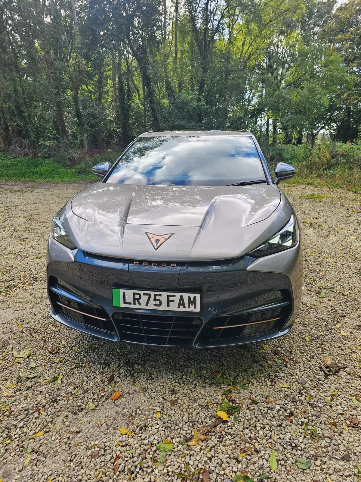 Cupra Tavascan 2025 photo 2