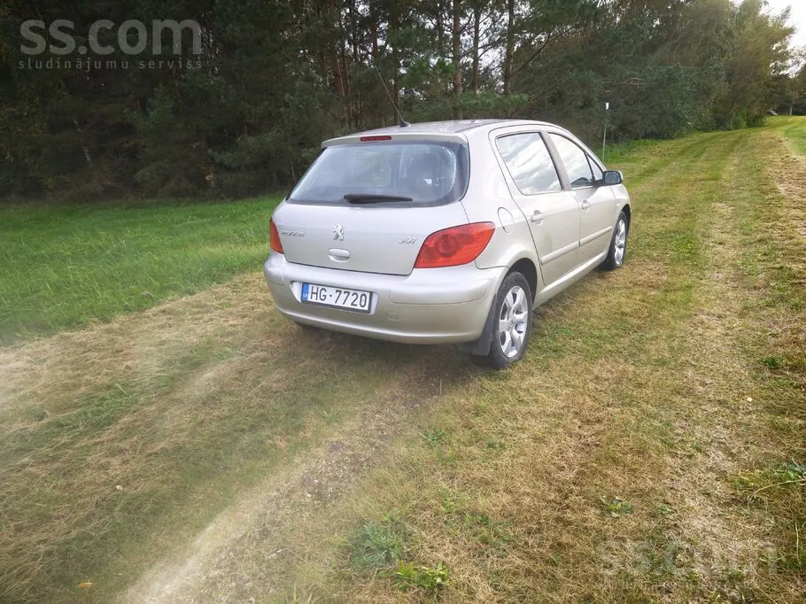 Peugeot 307 2006 photo 4