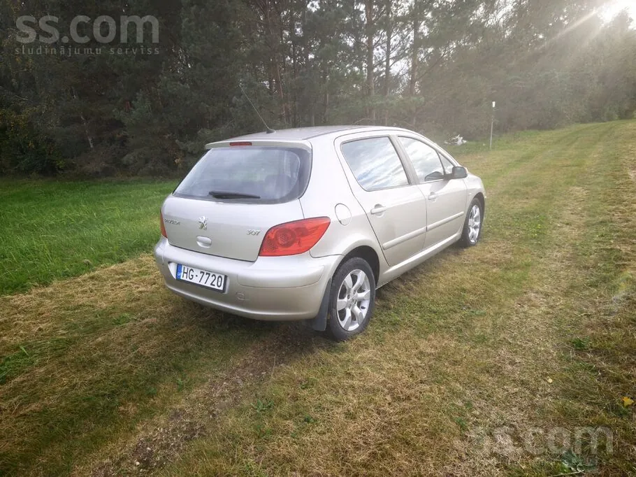 Peugeot 307 2006 photo 5