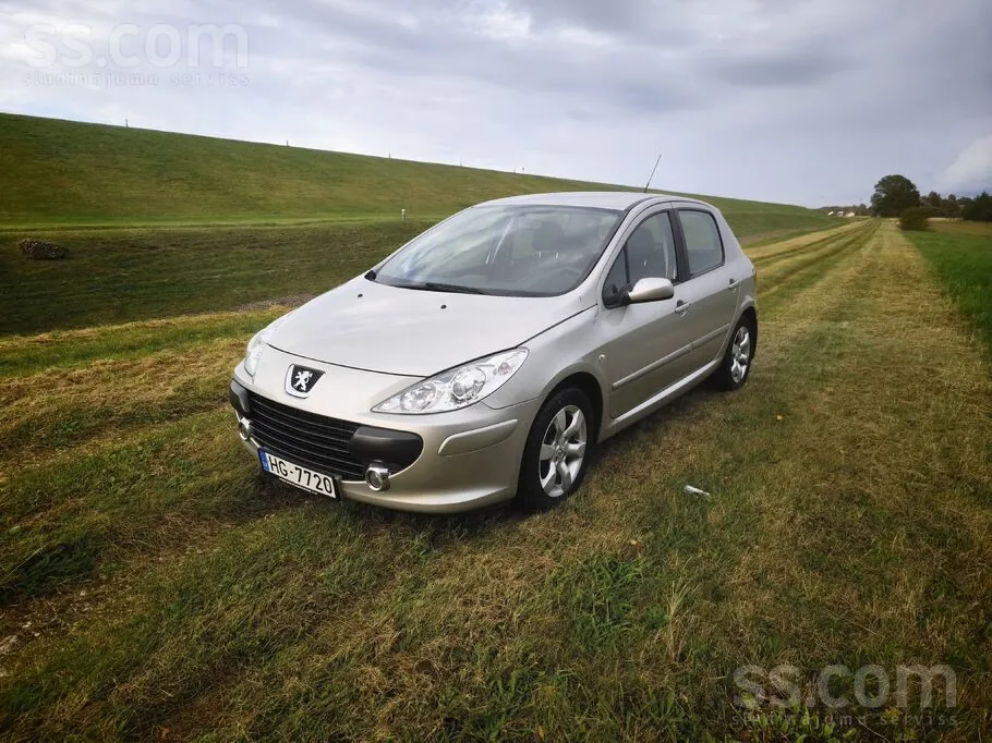 Peugeot 307 2006 photo 2