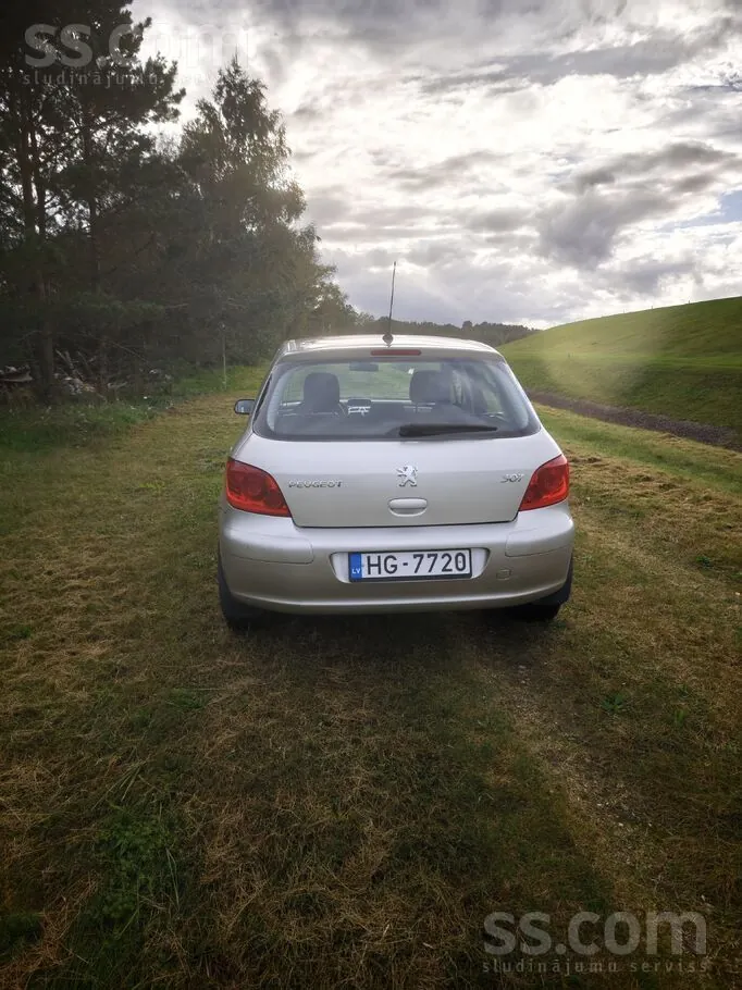 Peugeot 307 2006 photo 3