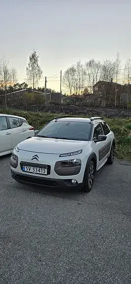 Citroen C4 Cactus 2014 photo 2