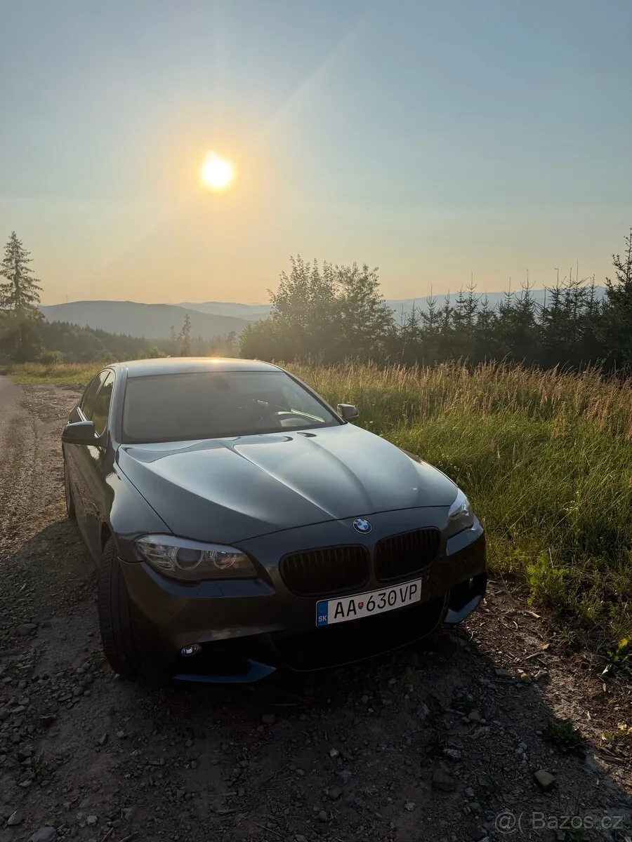 BMW 5 Series 2010 photo 5