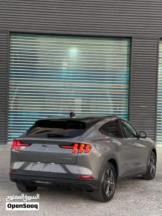 Ford Mustang Mach-E 2022 photo 4