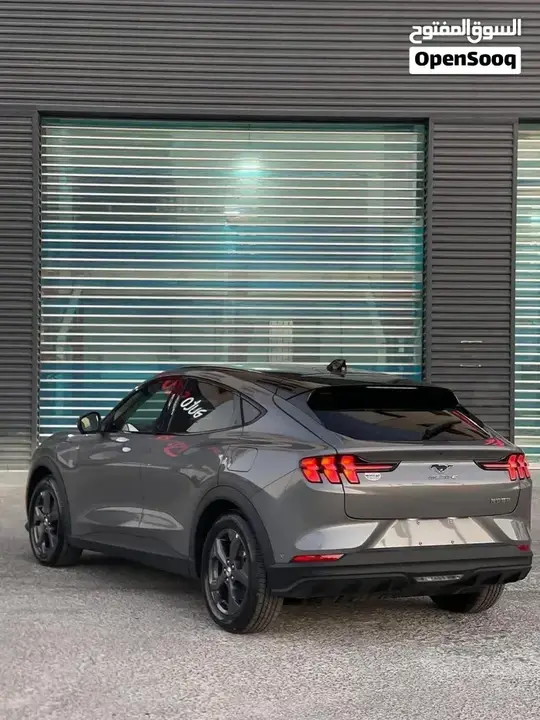 Ford Mustang Mach-E 2022 photo 3
