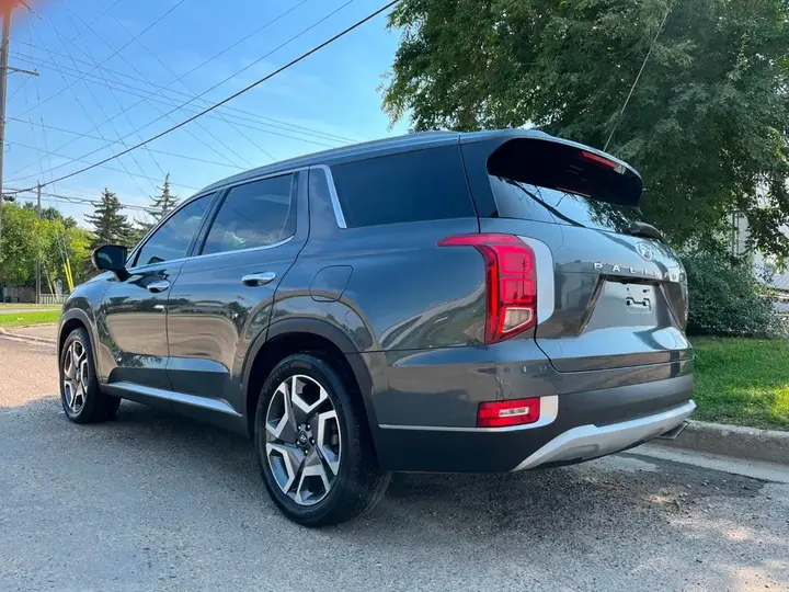 Hyundai Palisade 2020 photo 2