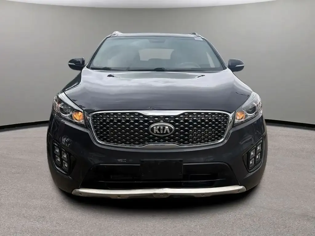 Kia Sorento 2017 photo 2