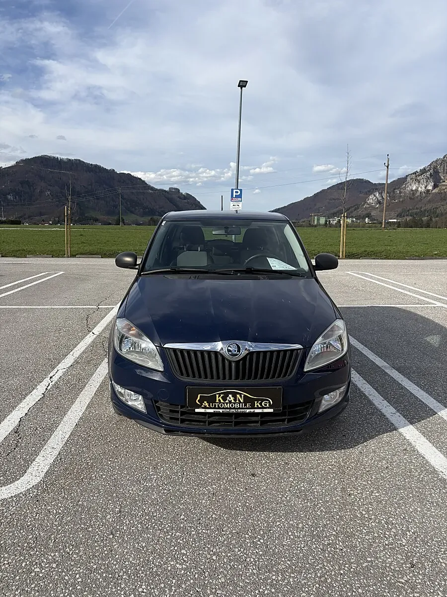Skoda Fabia 2014 photo 2