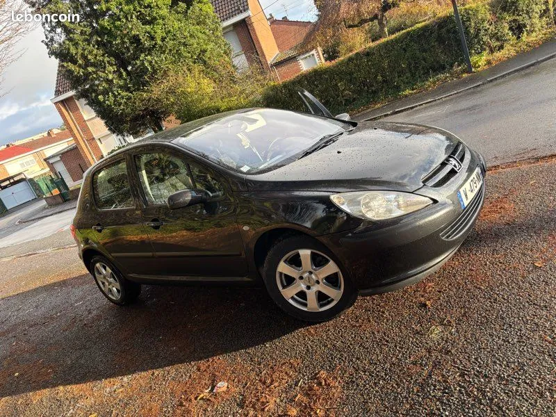 Peugeot 307 2004 photo 2