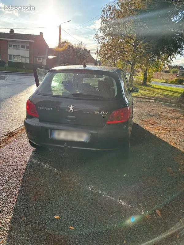 Peugeot 307 2004 photo 3