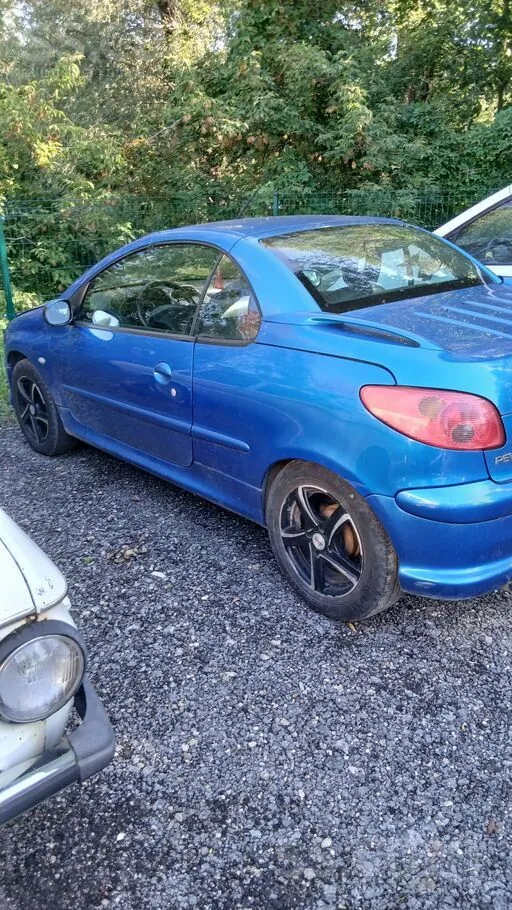 Peugeot 206 2004 photo 4