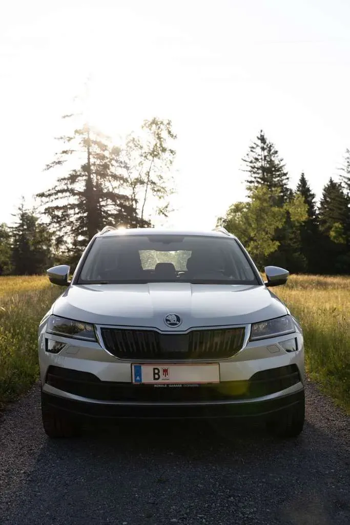 Skoda Karoq 2021 photo 3