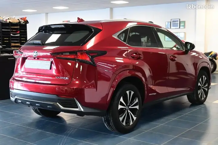 Lexus Nx 2021 photo 4