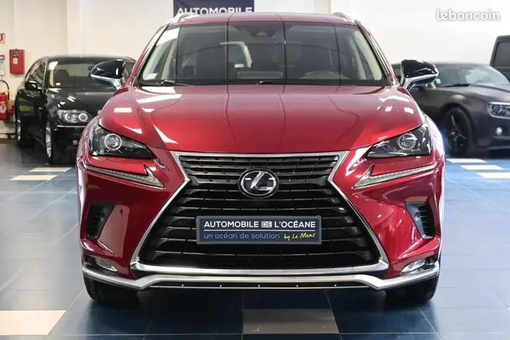 Lexus Nx 2021 photo 2