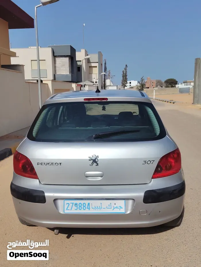 Peugeot 307 2003 photo 3