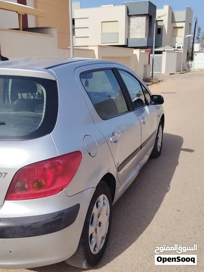 Peugeot 307 2003 photo 4