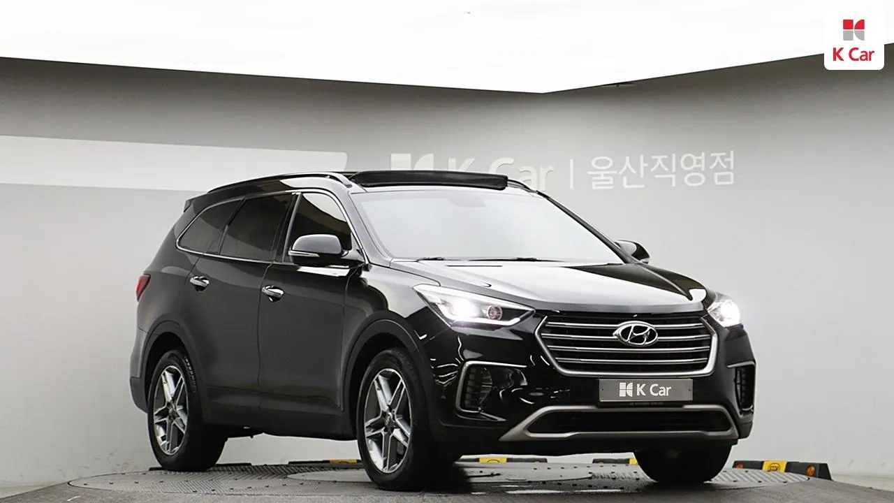 Hyundai New Maxcruise 2017 photo 3