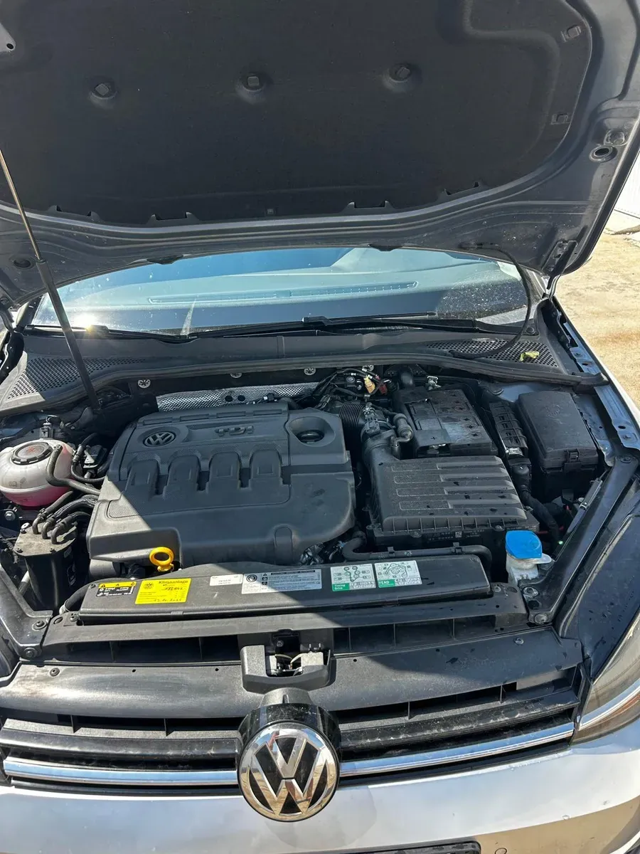 Volkswagen Golf 2019 photo 3