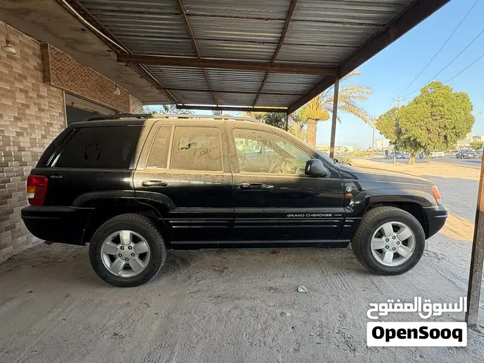 Jeep Grand Cherokee 2004 photo 4