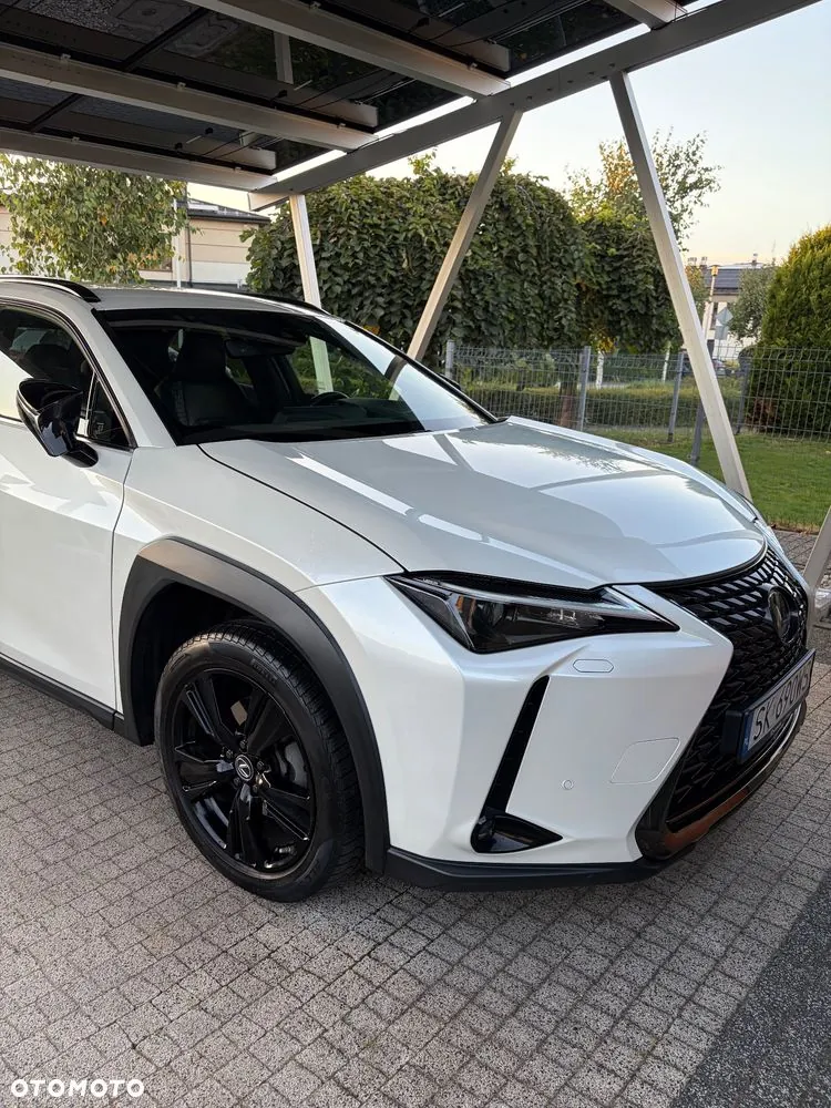 Lexus Ux 2022 photo 2