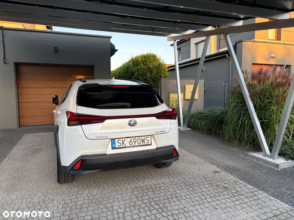 Lexus Ux 2022 photo 4