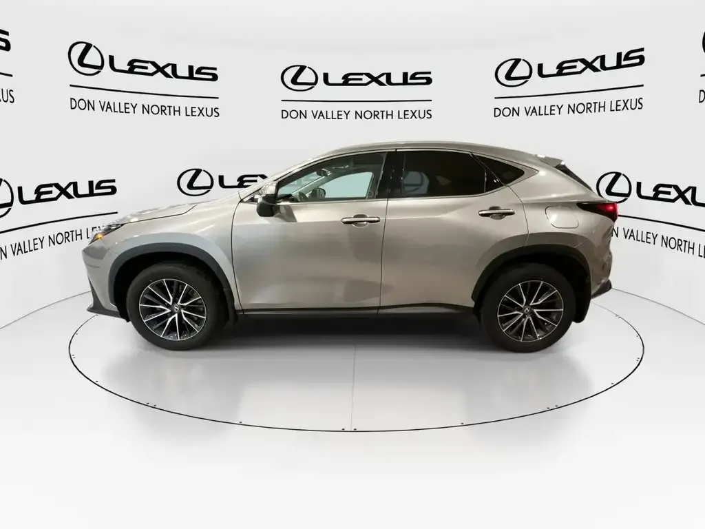 Lexus Nx 2024 photo 5