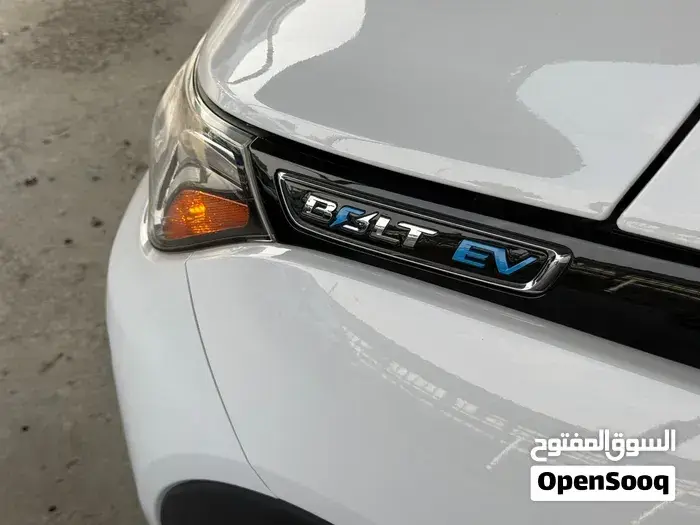 Chevrolet Bolt 2020 photo 3