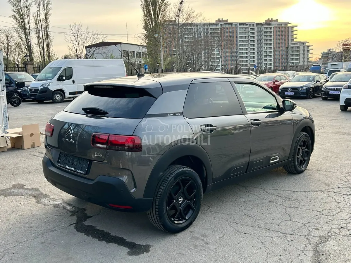 Citroen C4 Cactus 2019 photo 5