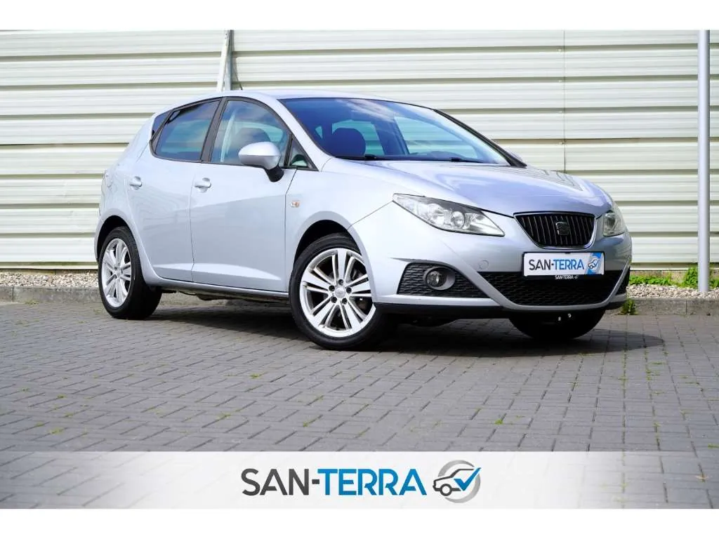 Seat Ibiza 2009 photo 2
