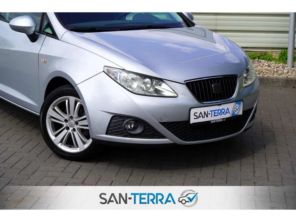 Seat Ibiza 2009 photo 3