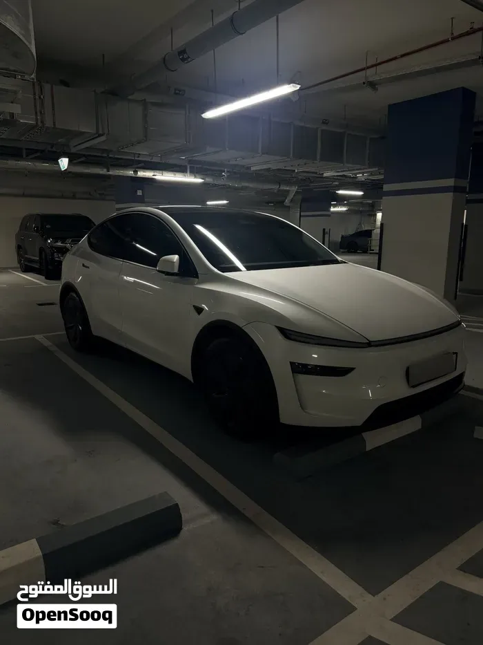 Tesla Model Y 2025 photo 4